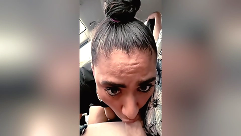 Indian brunette gets fucked in the car on the road