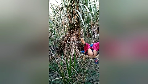 Outdoor amateur brunette girl with small tits is fucked